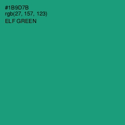 #1B9D7B - Elf Green Color Image