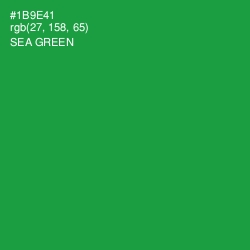 #1B9E41 - Sea Green Color Image