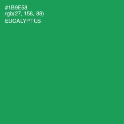 #1B9E58 - Eucalyptus Color Image