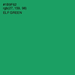 #1B9F62 - Elf Green Color Image