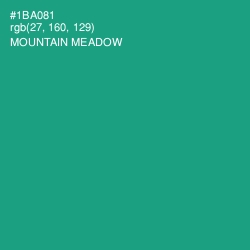 #1BA081 - Mountain Meadow Color Image