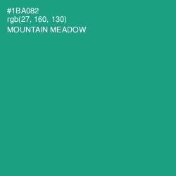 #1BA082 - Mountain Meadow Color Image