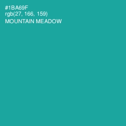 #1BA69F - Mountain Meadow Color Image