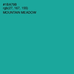 #1BA79B - Mountain Meadow Color Image