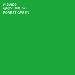 #1BA839 - Forest Green Color Image