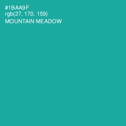 #1BAA9F - Mountain Meadow Color Image