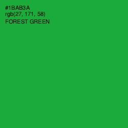 #1BAB3A - Forest Green Color Image