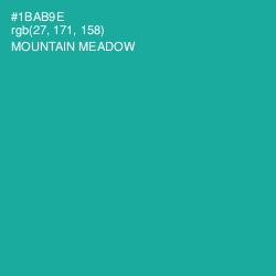 #1BAB9E - Mountain Meadow Color Image