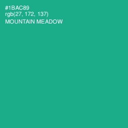 #1BAC89 - Mountain Meadow Color Image