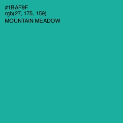 #1BAF9F - Mountain Meadow Color Image