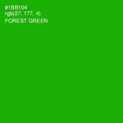 #1BB104 - Forest Green Color Image