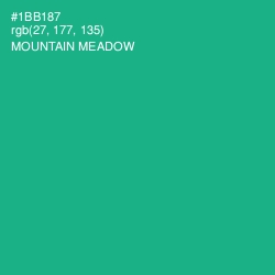 #1BB187 - Mountain Meadow Color Image