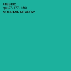 #1BB19C - Mountain Meadow Color Image