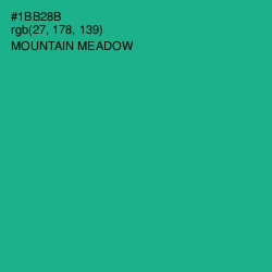 #1BB28B - Mountain Meadow Color Image