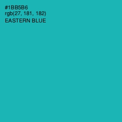 #1BB5B6 - Eastern Blue Color Image