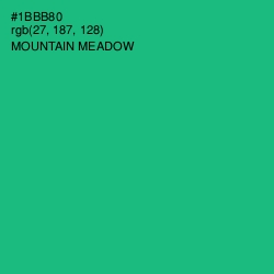 #1BBB80 - Mountain Meadow Color Image