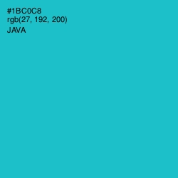 #1BC0C8 - Java Color Image