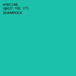 #1BC1AB - Shamrock Color Image