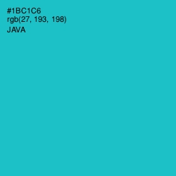 #1BC1C6 - Java Color Image