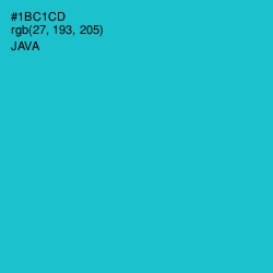 #1BC1CD - Java Color Image