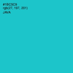 #1BC5C9 - Java Color Image