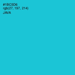 #1BC5D6 - Java Color Image