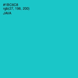 #1BC6C8 - Java Color Image