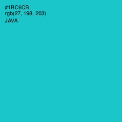 #1BC6CB - Java Color Image