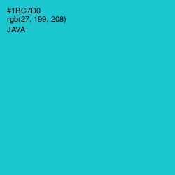 #1BC7D0 - Java Color Image