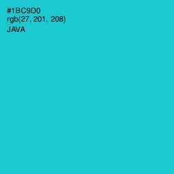 #1BC9D0 - Java Color Image