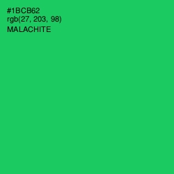 #1BCB62 - Malachite Color Image