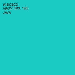#1BCBC3 - Java Color Image