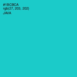 #1BCBCA - Java Color Image