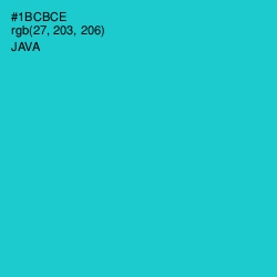 #1BCBCE - Java Color Image