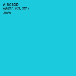 #1BCBDD - Java Color Image