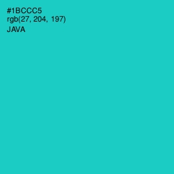 #1BCCC5 - Java Color Image