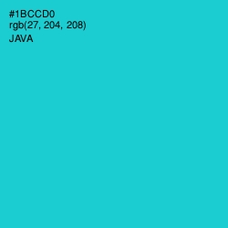 #1BCCD0 - Java Color Image