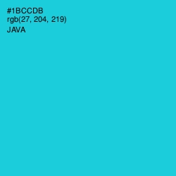 #1BCCDB - Java Color Image