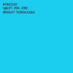 #1BCCEF - Bright Turquoise Color Image