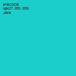 #1BCDCB - Java Color Image