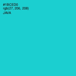 #1BCED0 - Java Color Image