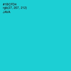#1BCFD4 - Java Color Image