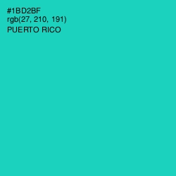 #1BD2BF - Puerto Rico Color Image