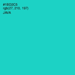 #1BD2C5 - Java Color Image