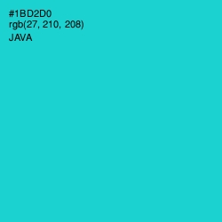 #1BD2D0 - Java Color Image