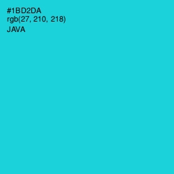 #1BD2DA - Java Color Image