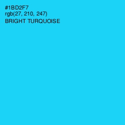 #1BD2F7 - Bright Turquoise Color Image