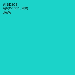 #1BD3C8 - Java Color Image