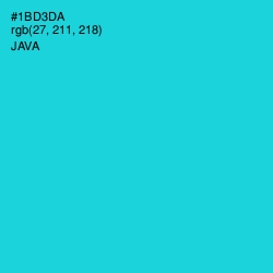 #1BD3DA - Java Color Image