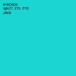 #1BD5D2 - Java Color Image